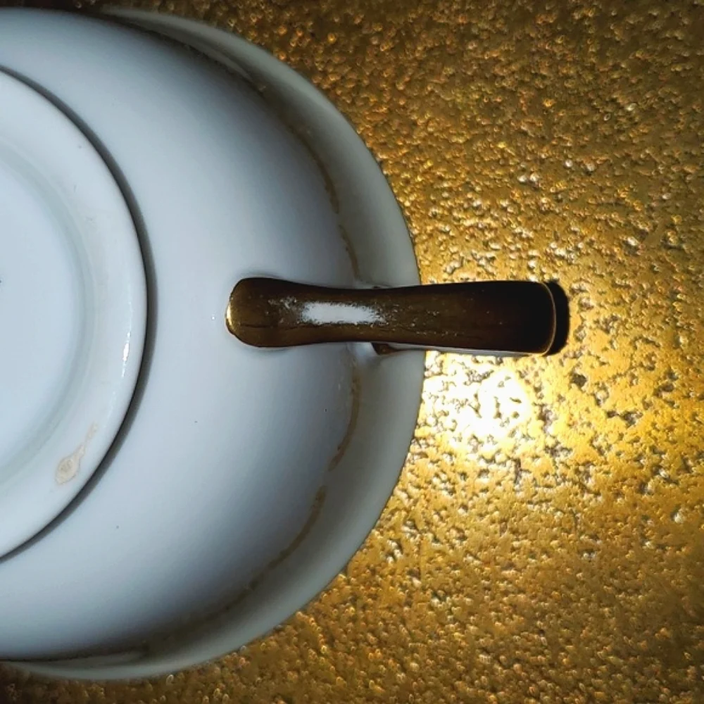 Vtg Noritake Joan 584 Teacup and Saucer Set